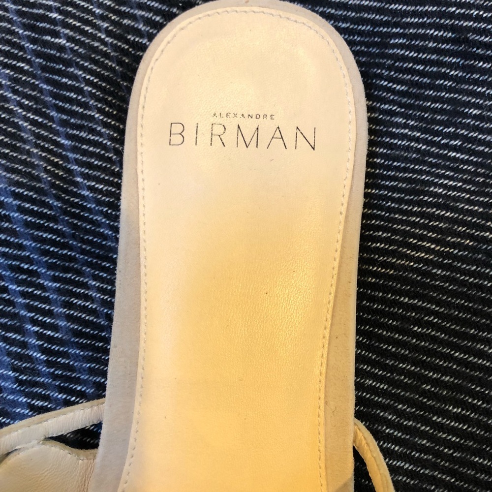 Alexandre Birman Slides - image 2